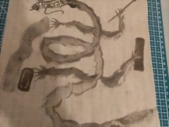 dragon chino progresion 2