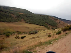 DSCN6609 DSCN6609