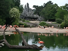 Zoo Hamburgo 17-06-11 1716 Zoo Hamburgo 17-06-11 1716