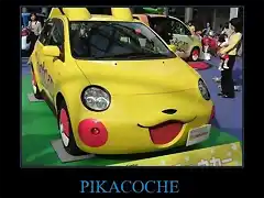 CR_14771_pikacoche