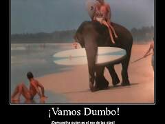 dumbo_3