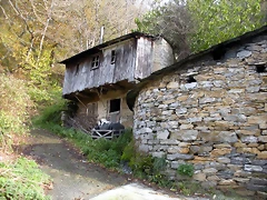 DSCN0506 DSCN0506