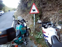 DSCN8163 DSCN8163
