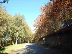 DSCN1078 DSCN1078