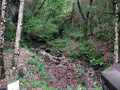 DSCN6274 DSCN6274