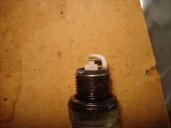 DSC05195