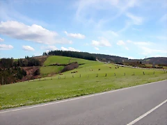 DSCN8850 DSCN8850