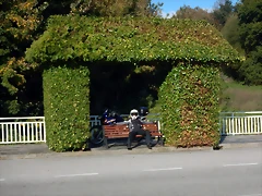 DSCN1553 DSCN1553