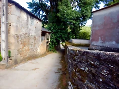 DSCN6377 DSCN6377