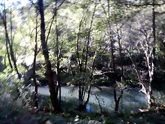 DSCN8890 DSCN8890