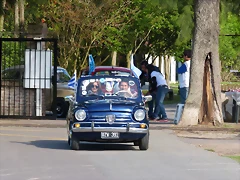 P1190071 P1190071