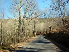 DSCN2682 DSCN2682