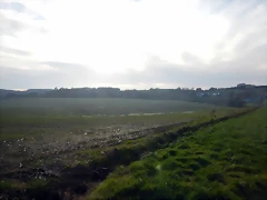 DSCN0520 DSCN0520