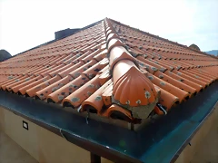 DSCN9974 DSCN9974