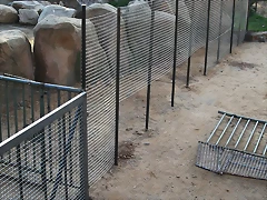 Zoo de Barcelona 22-10-10 235 Zoo de Barcelona 22-10-10 235