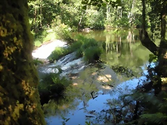 DSCN6610 DSCN6610