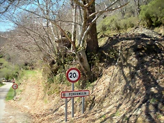 DSCN3972 DSCN3972