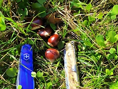 IMG_20201018_161304 IMG_20201018_161304