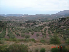DSC00518