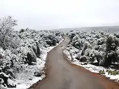 06, Llano del Cura, marca