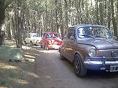 IMG-20130818-05596 IMG-20130818-05596