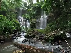 El interior de la selva de la ecorregin