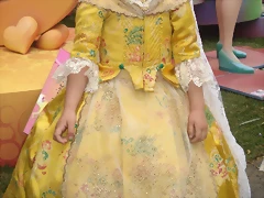 falleramarillo3