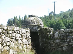 DSCN7850 DSCN7850