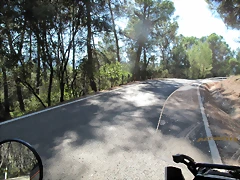 A39