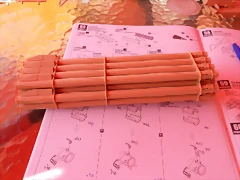 DSCN4221 DSCN4221