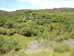 DSCN1136 DSCN1136