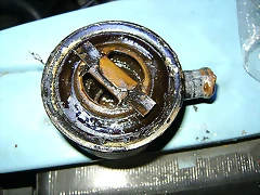 20566D860F2A55E24D652255E2485F