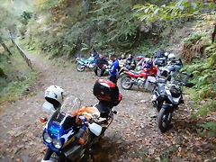 DSCN8691 DSCN8691
