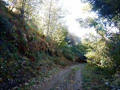 DSCN0034 DSCN0034