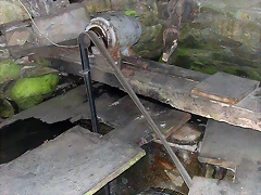 DSCN6785 DSCN6785