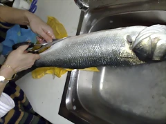17042011958 17042011958