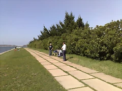 16042011947 16042011947