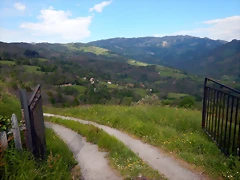 DSCN9879 DSCN9879