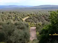 08, el camino por cuesta blanca, marca