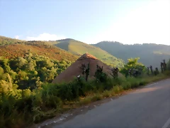 DSCN2454 DSCN2454