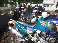 IMG_1273 IMG_1273