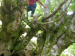 DSCN3829 DSCN3829