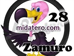 zamuro