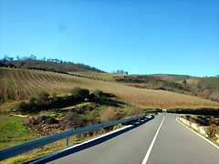 DSCN1642 DSCN1642