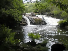 DSCN2812 DSCN2812