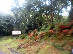 DSCN8459 DSCN8459