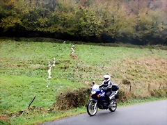 DSCN2743 DSCN2743