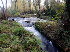 DSCN0529 DSCN0529