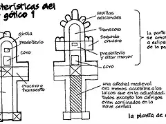 gtico, planta evolucin