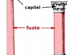 fuste